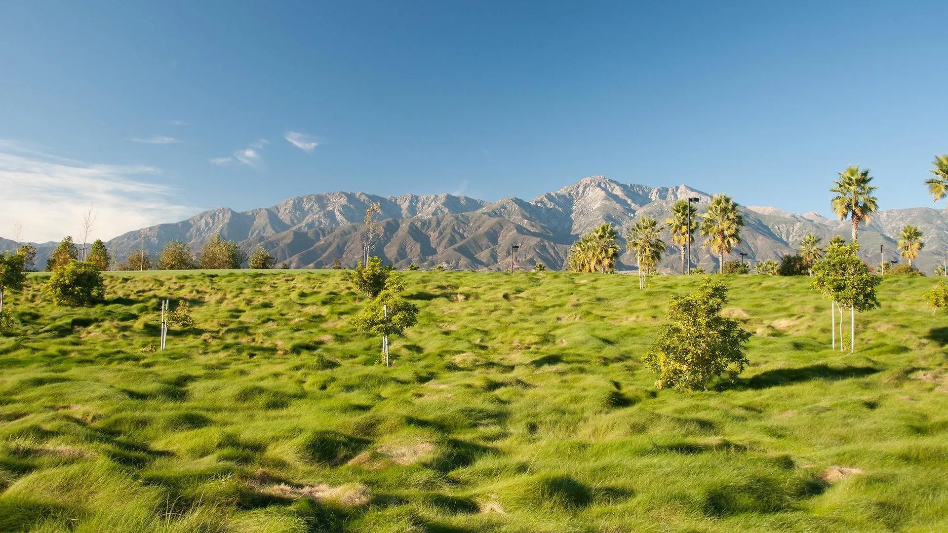 Best Western Inn At Palm Springs
