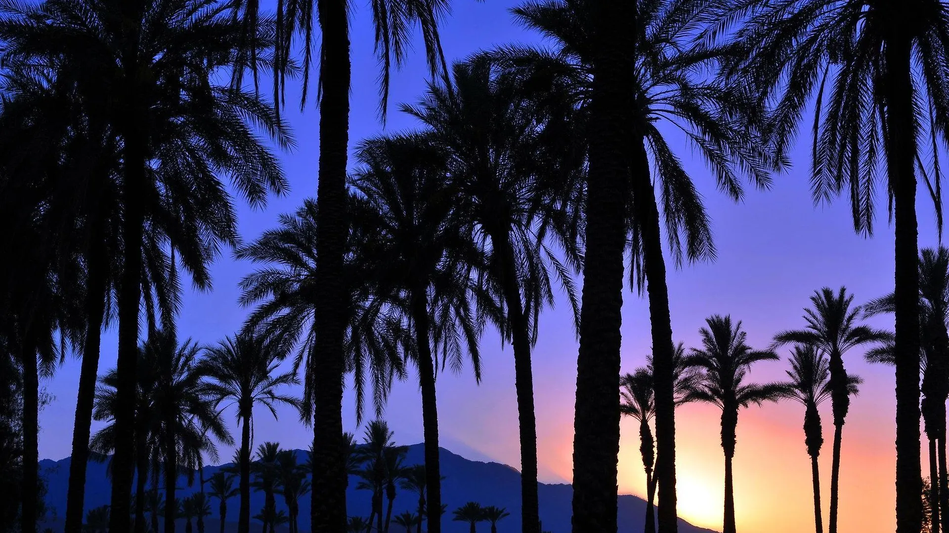 Best Western Inn At Palm Springs Hotel